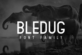 Bledug Family: A Bold Sans Serif Font for Modern Branding