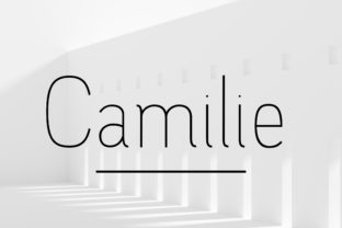 Camilie Family Font: Clean Elegance for Small Business Branding