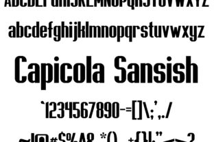Capicola Sansish: A Slightly Thick Sans Serif Font for Business Branding