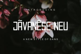 Javanese Neu: A Classy Sans Serif Font for Business Branding