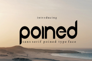 Poined: A Bold Sans Serif Font for High-Impact Campaign Graphics