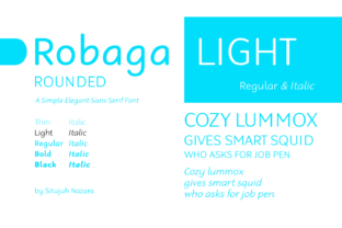 Robaga Rounded Light: A Modern Sans Serif Font for Scroll-Stopping Digital Campaigns