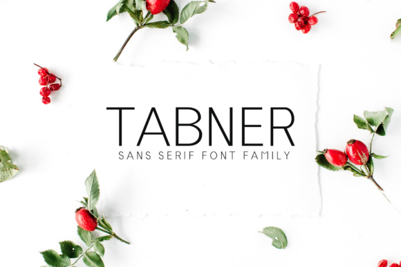 Tabner Family: A Clean, Modern Sans Serif for Branding and Design Projects